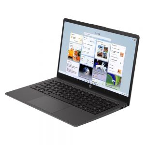 HP 245 G10-9J052PT Grey 