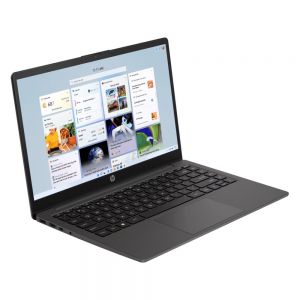 HP 245 G10-9J052PT Grey 